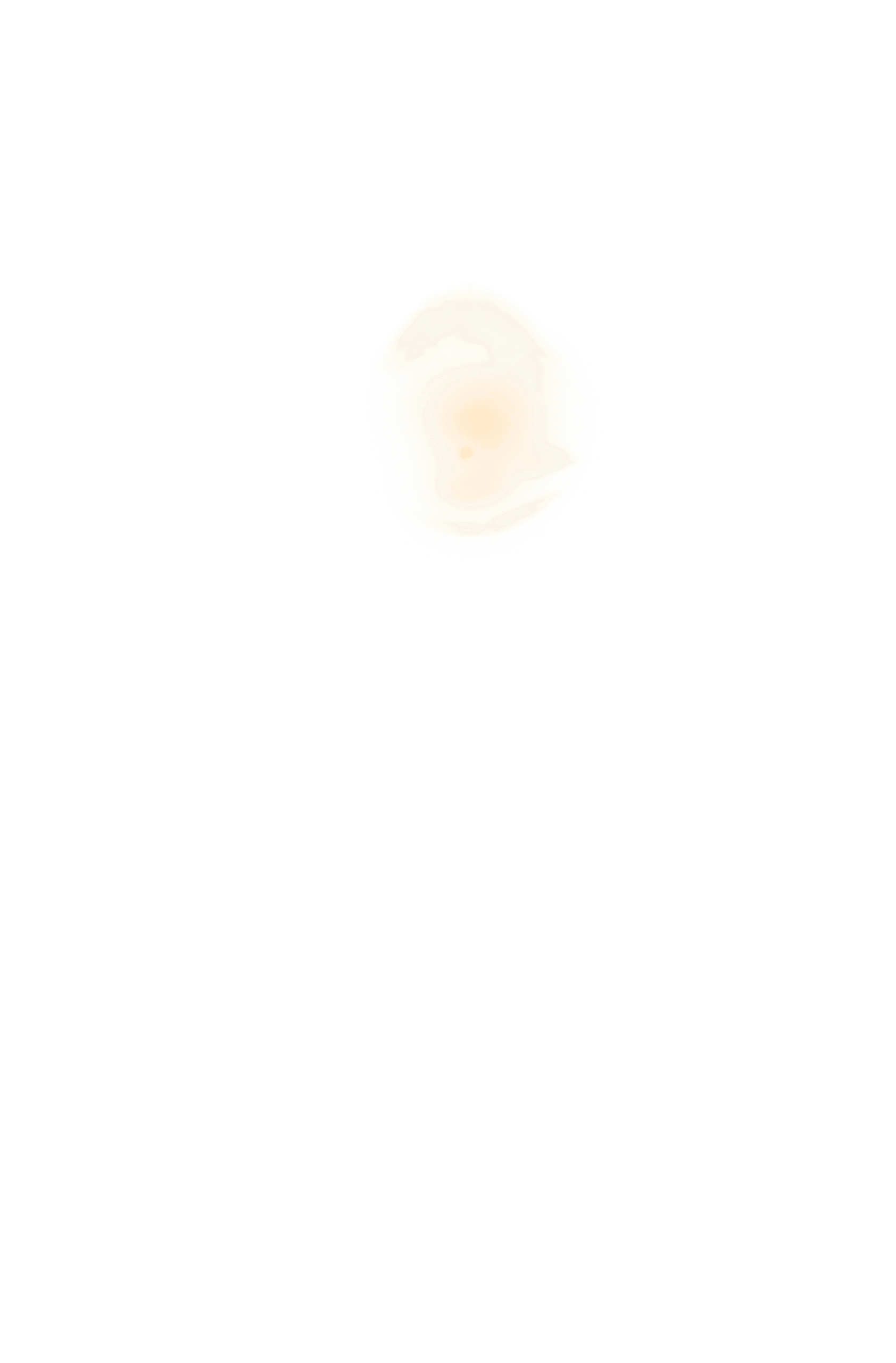 Medio